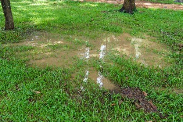 Cost of Storm Water Drainage Service in Mentor