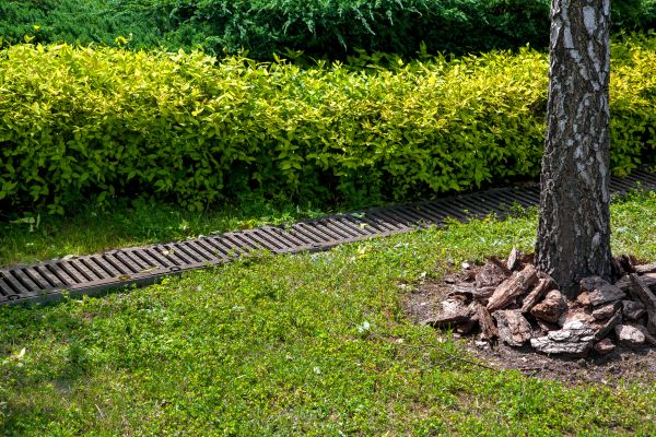 Cost of Residential Landscape Drainage in Mentor