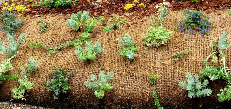 Erosion Prevention Projects